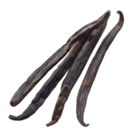 dry vanilla bean isolate on transparency background png
