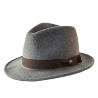 Fedora isolate on transparency background png