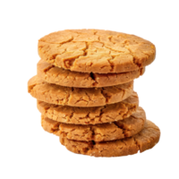 Biscuits Ginger snap front view full length isolate on transparency background png