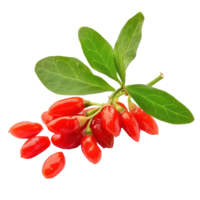 Fresh Goji berry with green leaves isolate on transparency background png