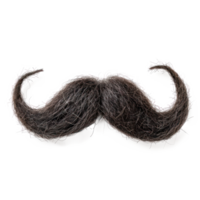 falso Bigote aislar en transparencia antecedentes png
