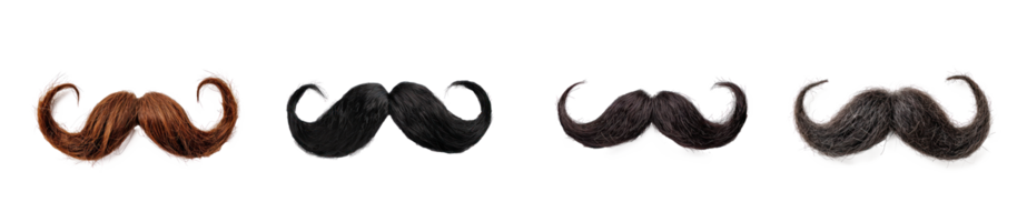 fake moustache isolate on transparency background png