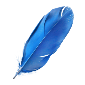 flotante azul pluma aislar en transparencia antecedentes png