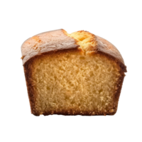Poundcake front view full length isolate on transparency background png