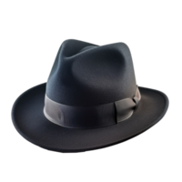 Fedora front view full length isolate on transparency background png