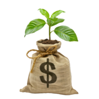 Money bag with dollar sign and money tree growing out the top isolate on transparency background png