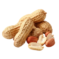 Peanuts isolate on transparency background png