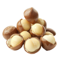 Macadamia Nuts isolate on transparency background png