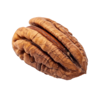 Closeup Pecan isolate on transparency background png