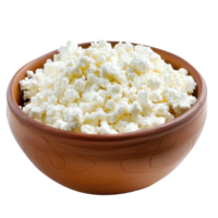 cottage cheese front view full length isolate on transparency background png