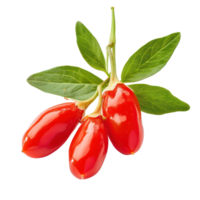 Fresh Goji berry with green leaves isolate on transparency background png