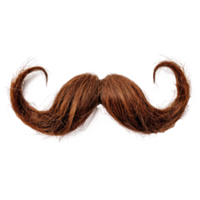 falso Bigote aislar en transparencia antecedentes png