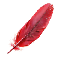floated red feather isolate on transparency background png