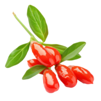 Fresh Goji berry with green leaves isolate on transparency background png