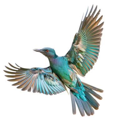 Birds Flying Transparent Pngs For Free Download Birds Flying Transparent Pngs For Free Download