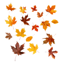 floating Maple and oak autumn leaves friesisolate on transparency background png