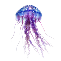 medusa cheio corpo isolar em transparência fundo png
