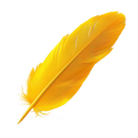 floated yellow feather isolate on transparency background png