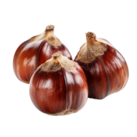 Closeup Chestnuts isolate on transparency background png