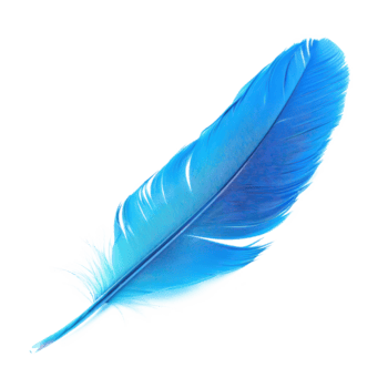 flotante azul pluma aislar en transparencia antecedentes png