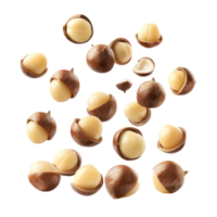 Falling Macadamia Nuts isolate on transparency background png