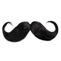 falso Bigote aislar en transparencia antecedentes png