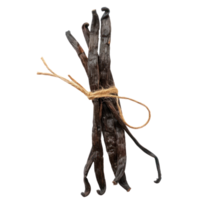 dry vanilla bean isolate on transparency background png