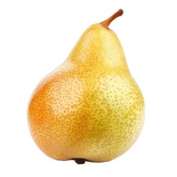 Pear side view full length isolate on transparency background png