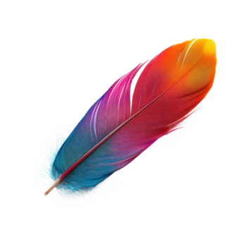 flotante vistoso pluma aislar en transparencia antecedentes png