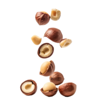 Falling Macadamia Nuts isolate on transparency background png