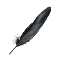 floated black feather isolate on transparency background png