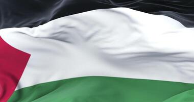 Palestinian flag waving at wind with blue sky in slow, loop video