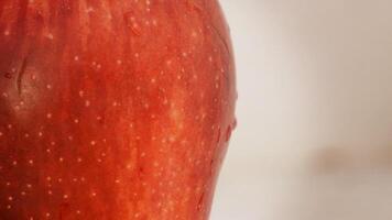 Red apple close up. Loop video