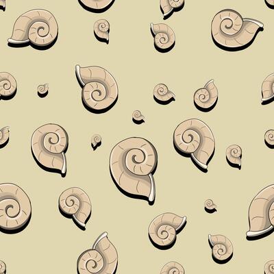 Sea shell cartoon colorful pattern