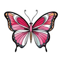 A pink butterfly with black wings on a white background vector