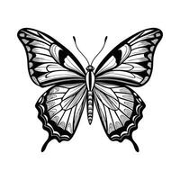 A black and white butterfly on a white background vector