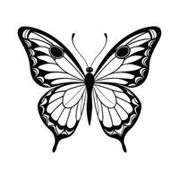 A black and white butterfly on a white background vector