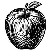 HandDrawn Vintage Apple Illustration in Black and White for Retro Design Projects vector