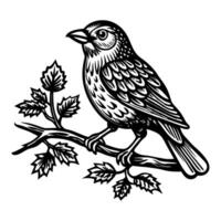 Vintage Bird Illustration Sparrow Perched on a Branch with Leaves vector