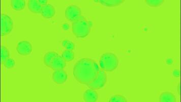 Light green background. Design. Small flying green bubbles made in computer graphics. video
