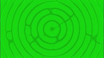 Spreading concentric rings on a bright neon green background. Design. Widening circles. video