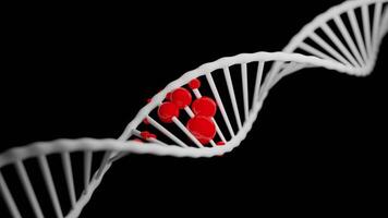 Black background with a DNA molecule. Design. Color animation in an approximate format moving in different directions. video