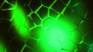 Chloroplast cell animation under the microscope. Motion. Microscopic formation in a plant cell, research and genetic engineering. video