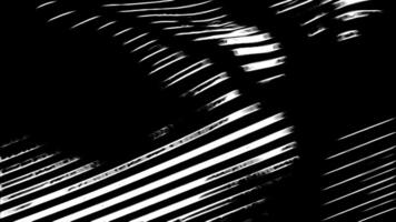 3D abstract shiny reflective metallic waves of narrow stripes. Design. Black and white industrial background with curved lines. video