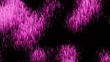 Purple and pink sequins. Design. A black background with a glow made in cartoon abstraction that are highlighted. video