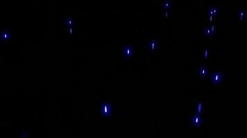 Stream of rising luminous particles on black background. Design. Bright particles are moving up rapidly. Rising luminous particles with reflection effect on black background video