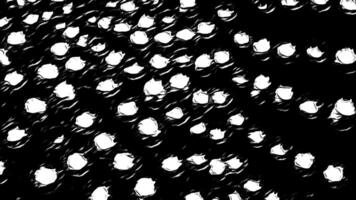 Abstract monochrome wavy background with white circular particles. Motion. 3D up and down motion of round shapes. video