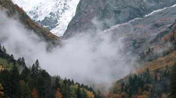 brouillard rapidement descend dans le gorge. créatif. magnifique Montagne paysage dans des nuages, laps de temps effet. video
