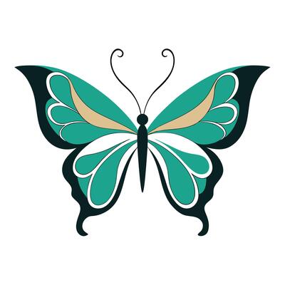 Minimalist Butterfly Wing Patterns Illustration