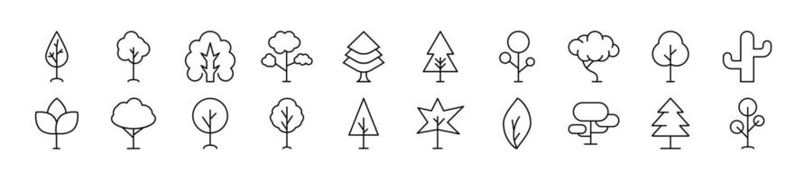 Images of deciduous and conifers drawn with thin Line. Editable stroke. Simple linear illustration for stores, shops, banners, design vector